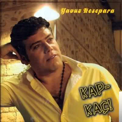 Kapkaç (2014)