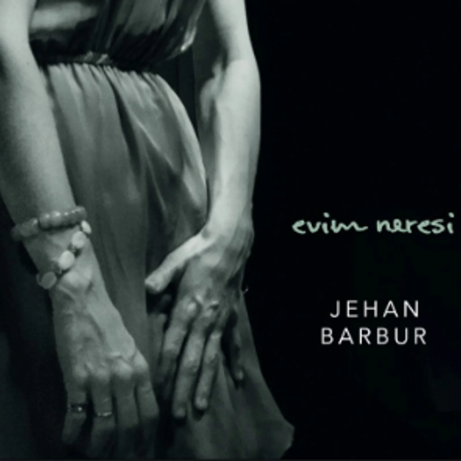 Evim Neresi (2017)