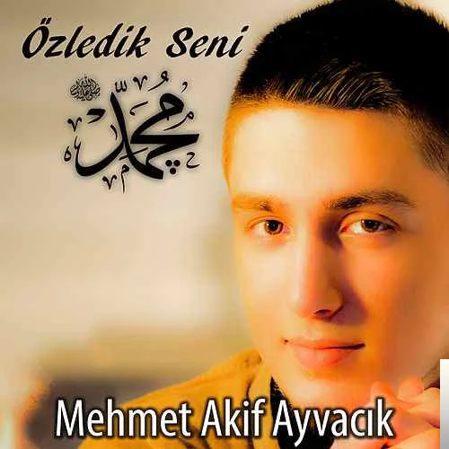 Özledik Seni (2012)