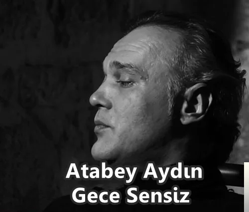 Gece Sensiz (2019)