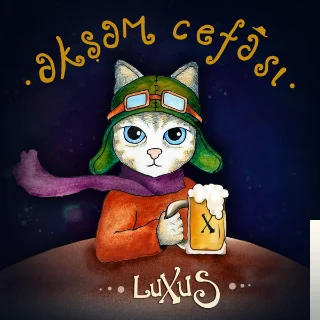 Akşam Cefası (2019)