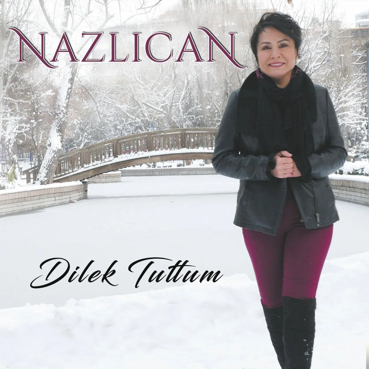 Dilek Tuttum (2019)