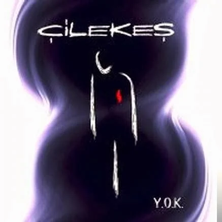 Y.O.K (2005)