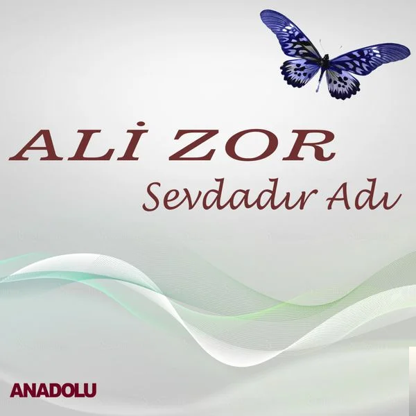 Sevdadır Adı (2016)