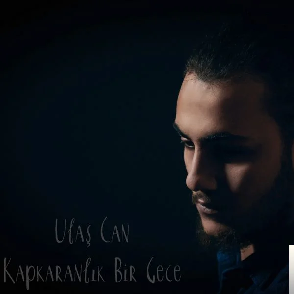 Kapkaranlık Bir Gece (2019)