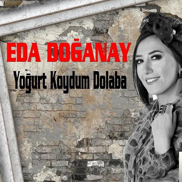 Yoğurt Koydum Dolaba (2019)