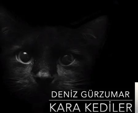 Kara Kediler (2019)