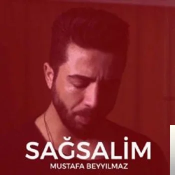 Sağsalim (2019)
