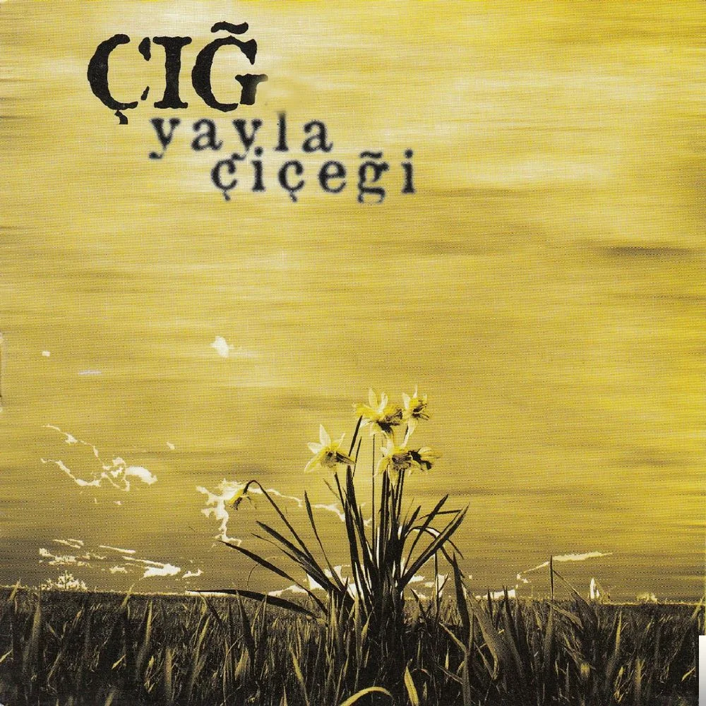 Yayla Çiçeği (2000)