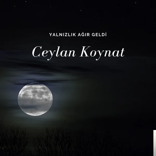 Yalnızlık Ağır Geldi (2019)