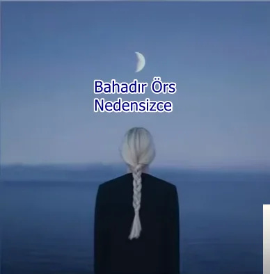 Nedensizce (2019)