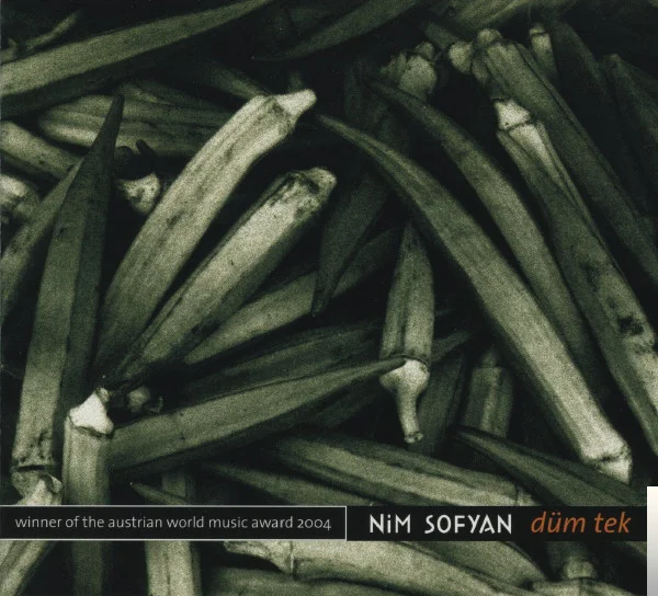Düm Tek (2004)
