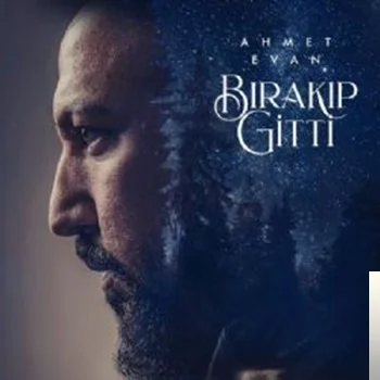 Bırakıp Gitti (2019)