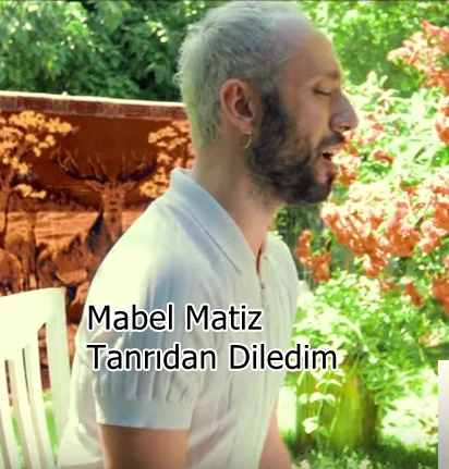 Tanrıdan Diledim (2019)