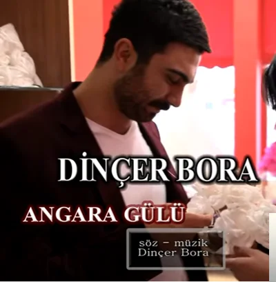 Ankara Gülü (2019)