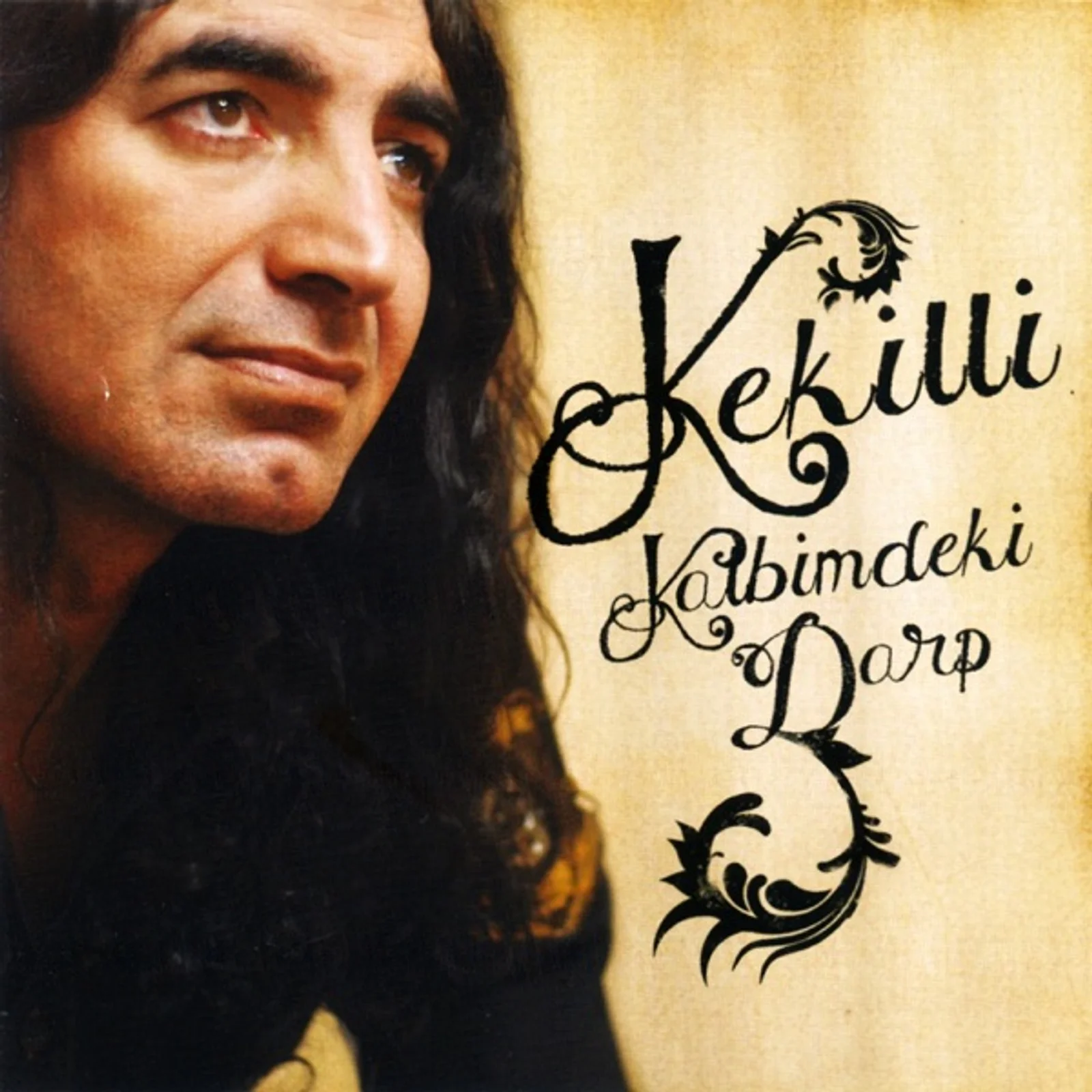 Kalbimdeki Darp (2010)