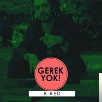 Gerek Yok (2019)