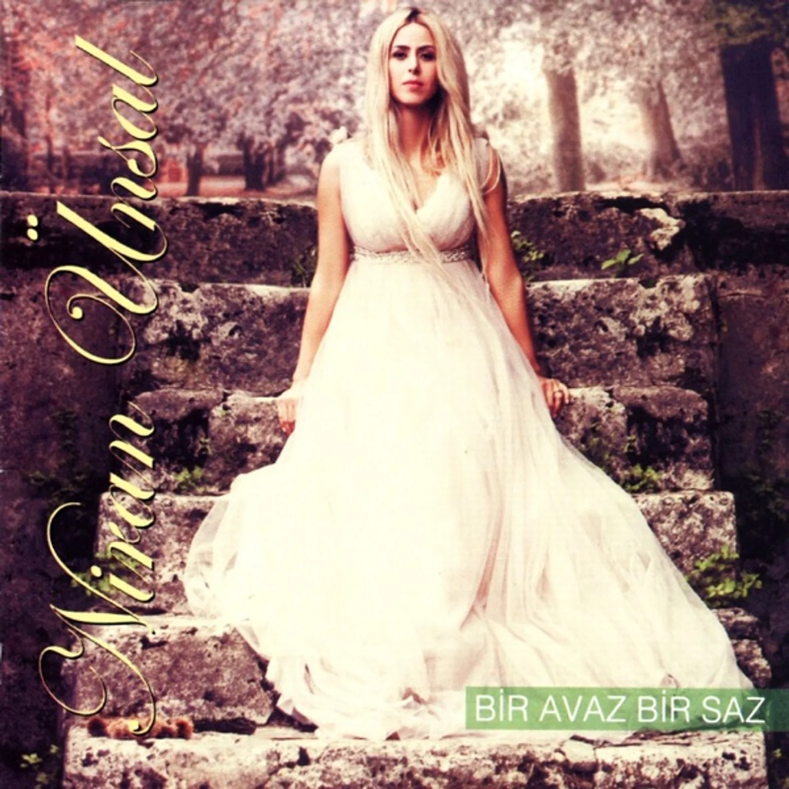 Bir Avaz Bir Saz (2010)