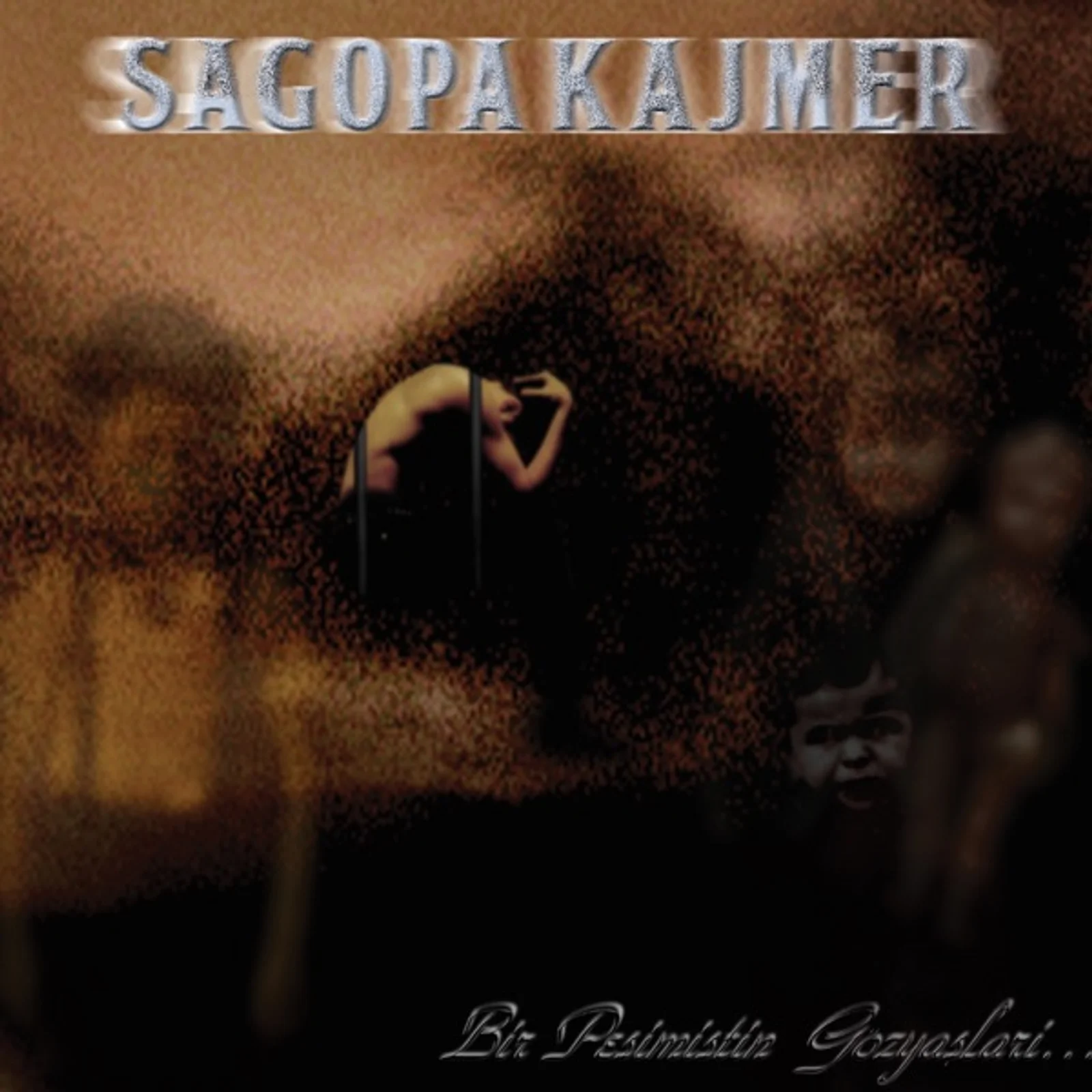 Bir Pesimistin Gözyasları (2004) cover