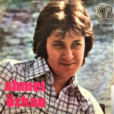 Sen Mevsimler Gibisin (1974)