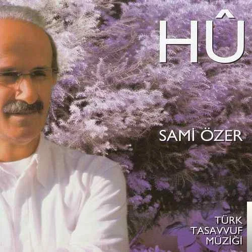 Hu (2013)