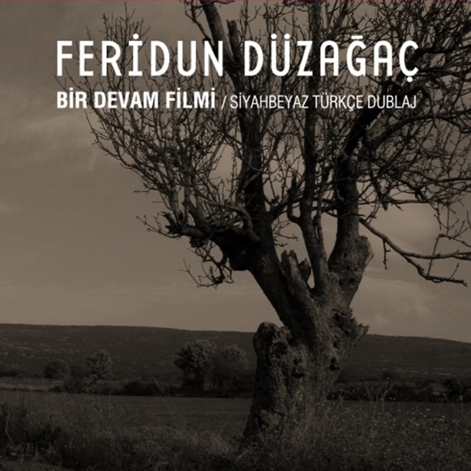Bir Devam Filmi (2006)