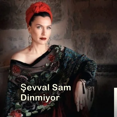 Dinmiyor (2019)