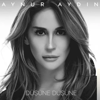 Düşüne Düşüne (2019)