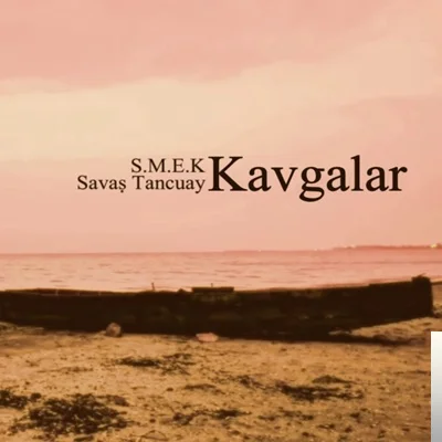 Kavgalar (2019)