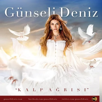 Kalp Ağrısı (2012)