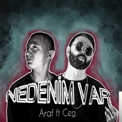 Nedenim Var (2019)