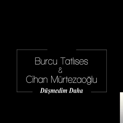 Düşmedim Daha (2019)