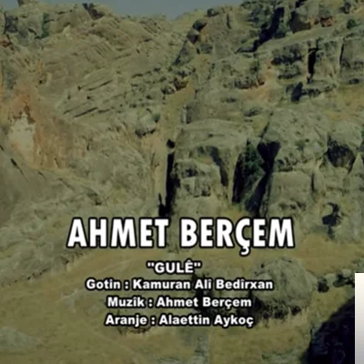 Gule (2019)