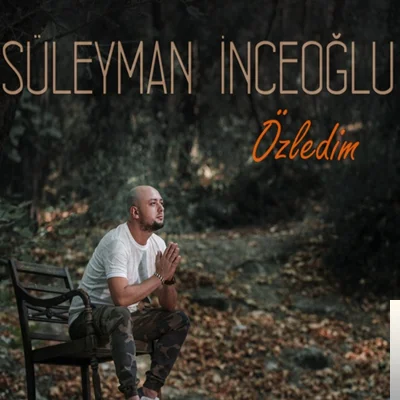 Özledim (2019)