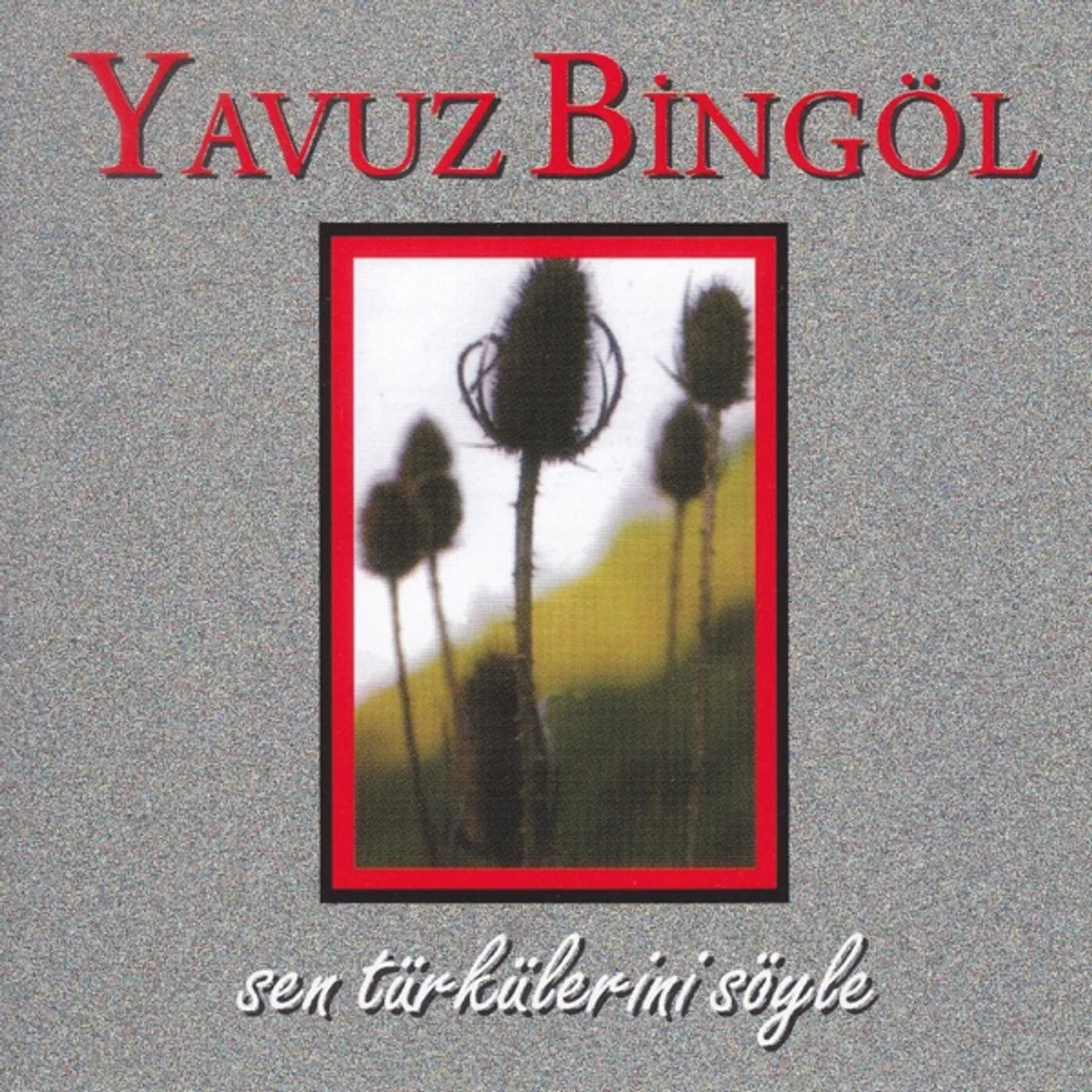 Sen Türkülerini Söyle (1995)