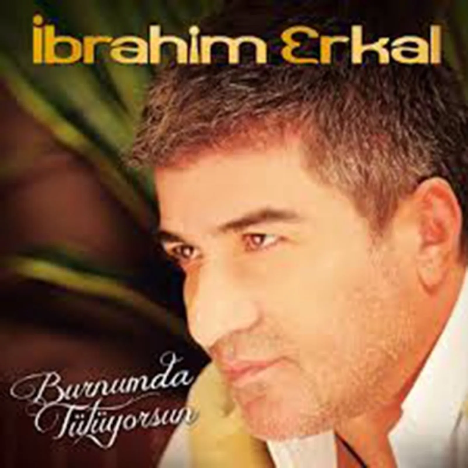 Burnumda Tütüyorsun (2011)