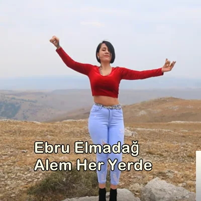 Alem Her Yerde (2019)