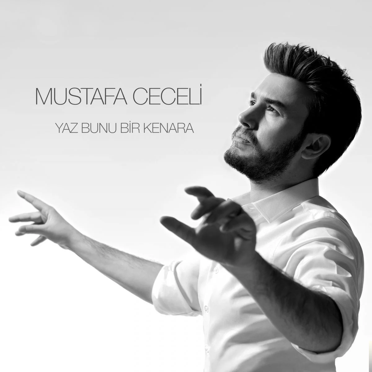 Yaz Bunu Bir Kenara (2019)