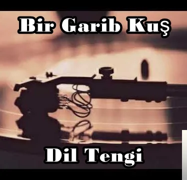 Bir Garib Kuş (2019)