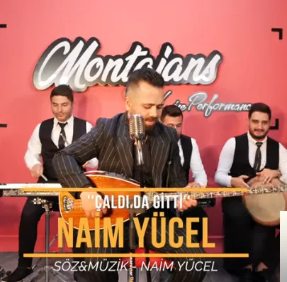Çaldı da Gitti (2019)