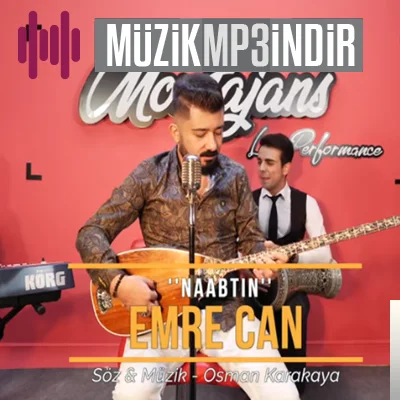 Naabtın (2019)