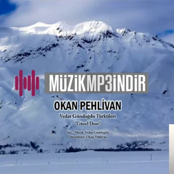 Güzel Dost (2019)