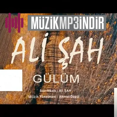 Gülüm (2019)