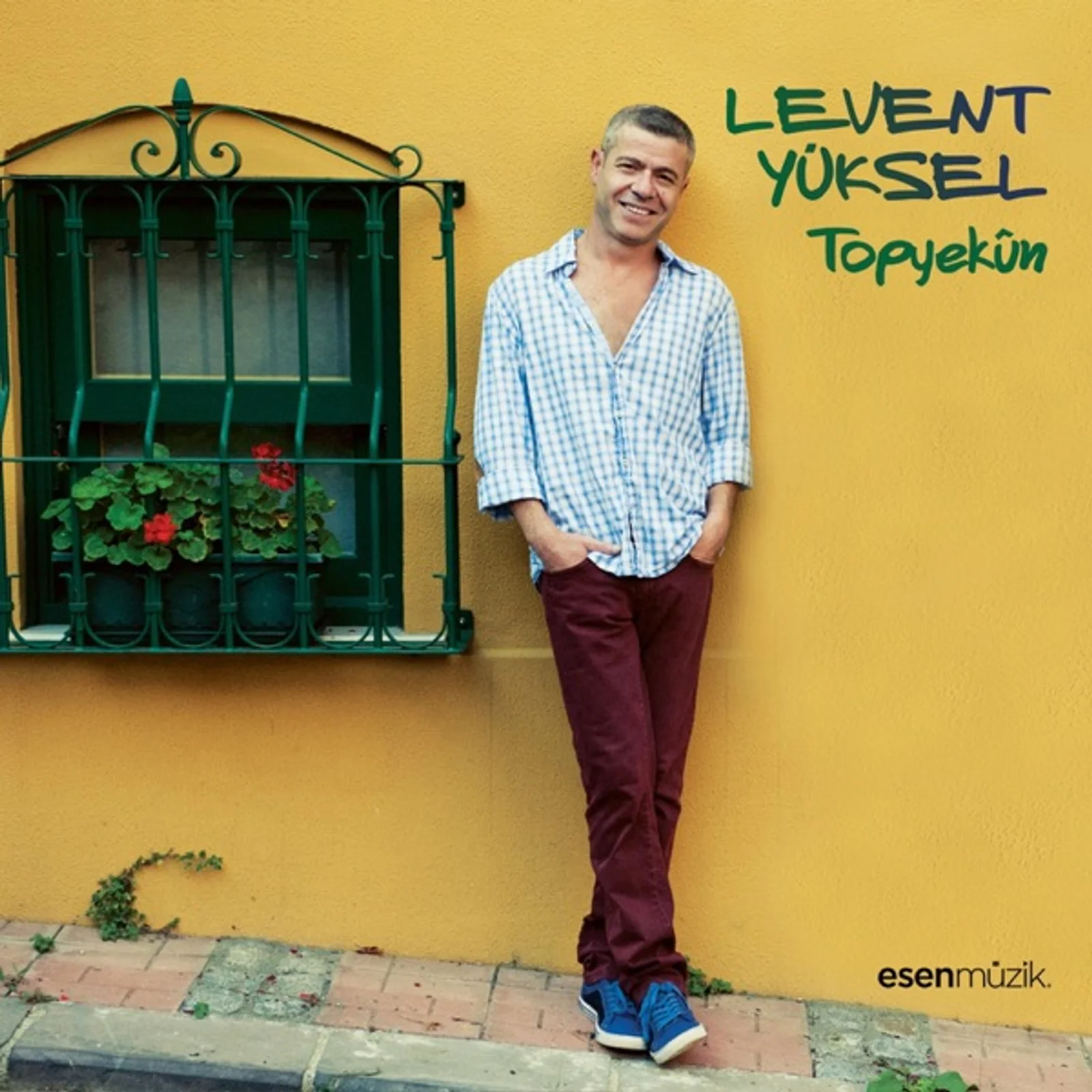 Topyekün (2012)