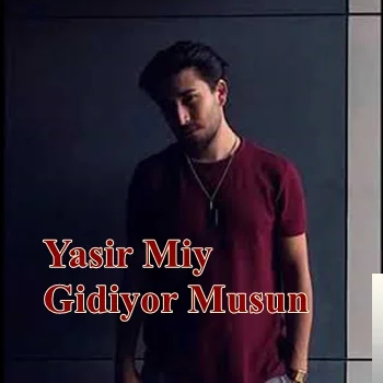 Gidiyor Musun (2019)