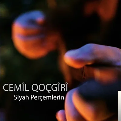 Siyah Perçemlerin (2020)