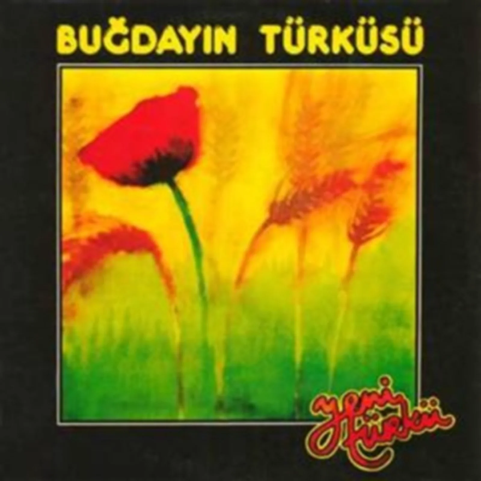 Buğdayın Türküsü (1979)