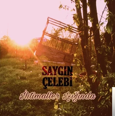 İhtimaller Işığında (2020)