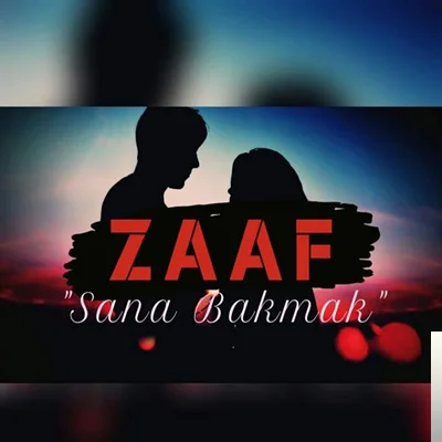 Sana Bakmak (2019)