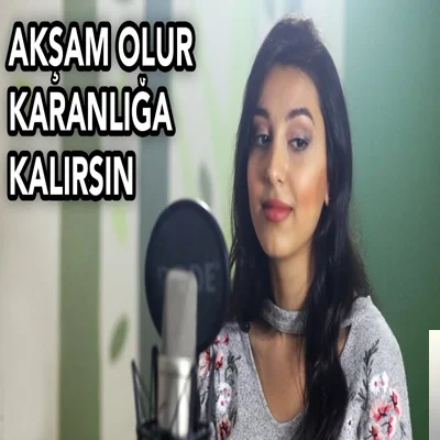 Akşam Olur Karanlığa Kalırsın (2020)